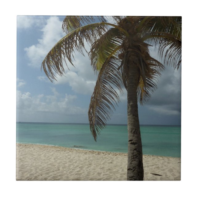 Aruban Beach I Beautiful Nature Scene Tile (Front)