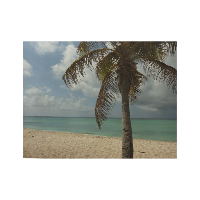 Aruban Beach I Beautiful Nature Scene Wood Poster (Front)