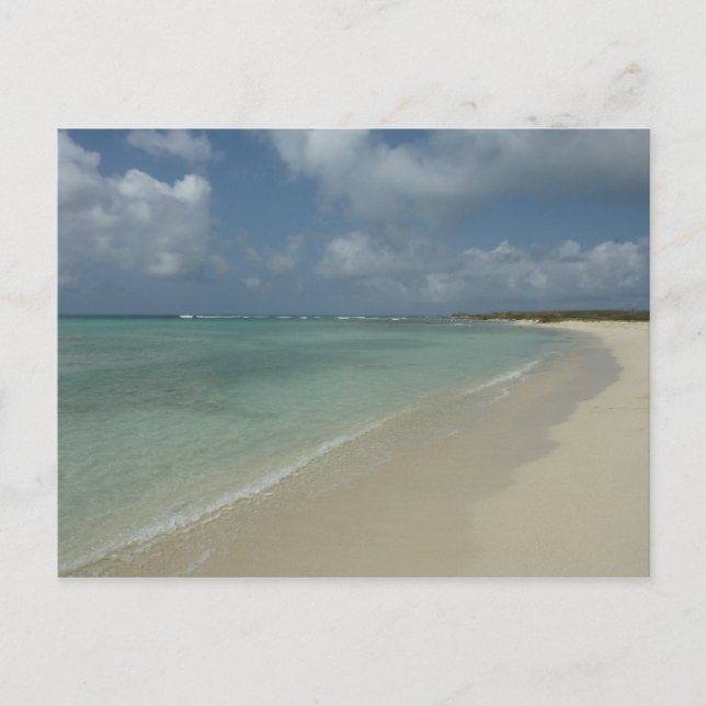Aruban Beach II Beautiful Nature Scene Postcard (Front)