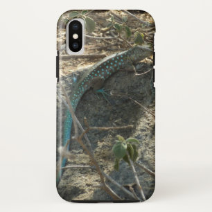 Aruban Whiptail Lizard Tropical Animal Photography Case-Mate iPhone Case