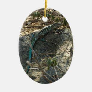 Aruban Whiptail Lizard Tropical Animal Photography Ceramic Ornament