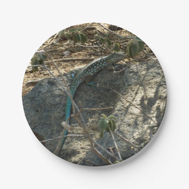 Aruban Whiptail Lizard Tropical Animal Photography Paper Plate (Front)