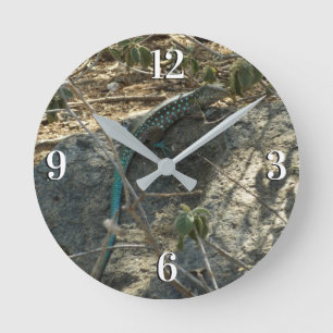 Aruban Whiptail Lizard Tropical Animal Photography Round Clock