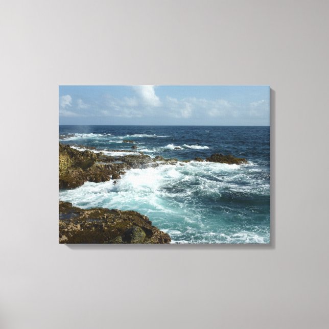 Aruba's Rocky Coast and Blue Ocean Canvas Print (Front)