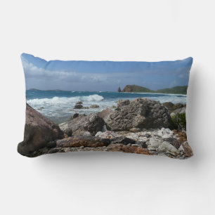 Aruba's Rocky Coast and Blue Ocean Lumbar Pillow