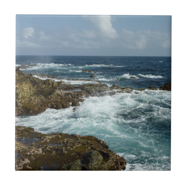 Aruba's Rocky Coast and Blue Ocean Tile (Front)