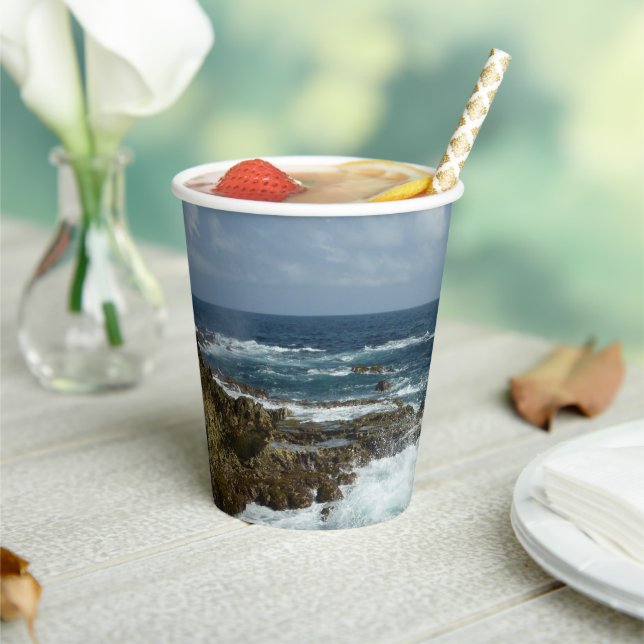 Aruba's Rocky Coast Paper Cups (Insitu)