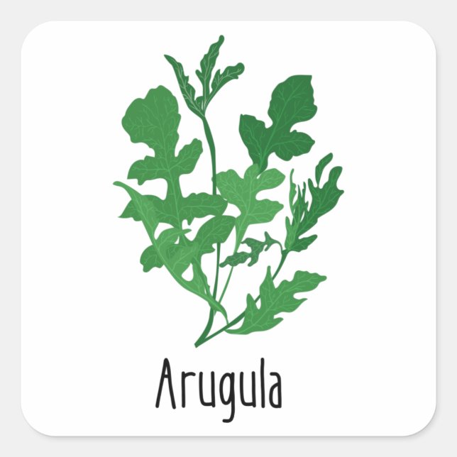 Arugula Spices Herbs Square Sticker (Front)