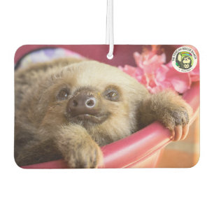 Arya, The Two-Fingered Sloth Air Freshener