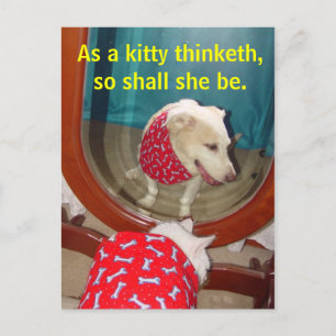 As a kitty thinketh... postcard