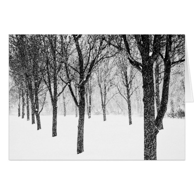 as I side with trees (Front Horizontal)