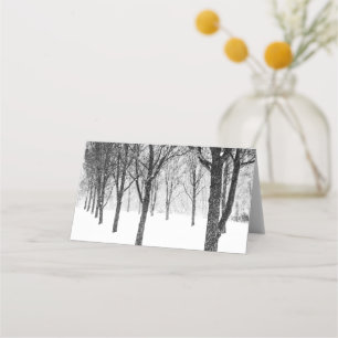 as I side with trees Place Card