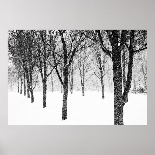 as I side with trees Poster (Front)