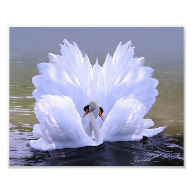As One, Swans by Danny Hahlbohm Photo Print (Front)
