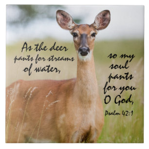 As the deer pants for water Bible Verse Psalm 42:1 Tile