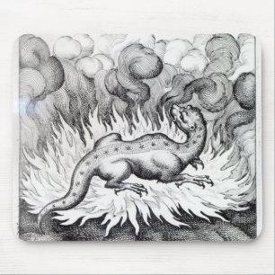 As the Salamander lives in fire Mouse Pad