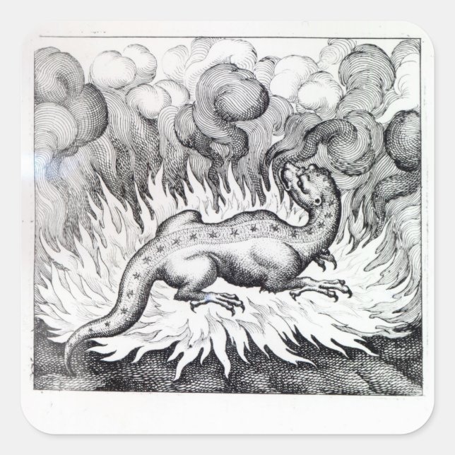 As the Salamander lives in fire Square Sticker (Front)