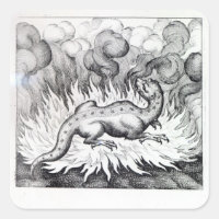 As the Salamander lives in fire