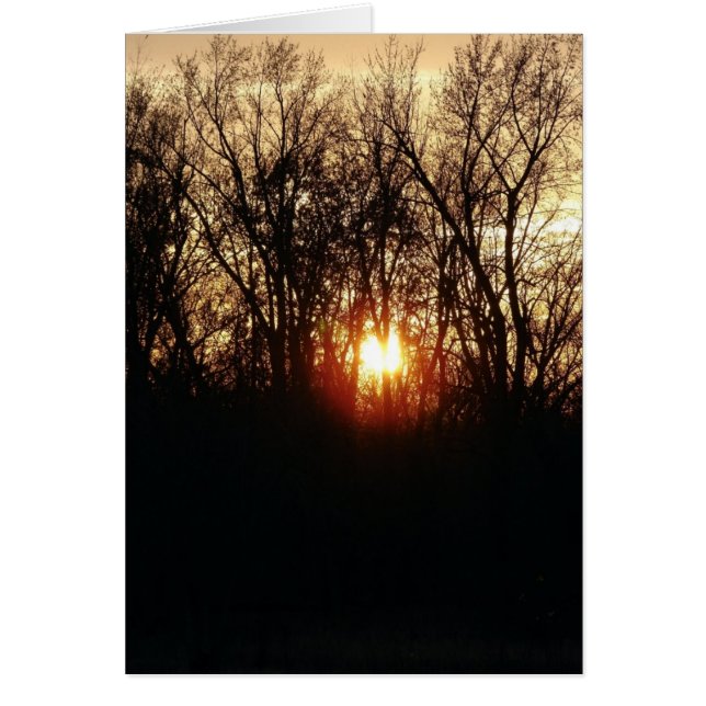 As The Sun Sets (Front)