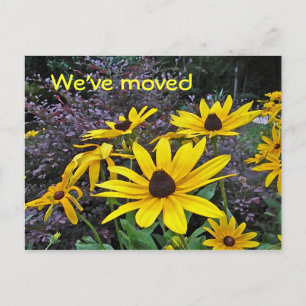 AS- Yellow Daisy Moving Notice Postcards