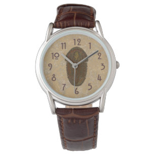 Asaphiscus Fossil Trilobite Watch