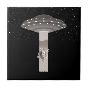 Ascend Me Up, Scooty Tile