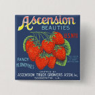 Ascension Beauties Fancy Klondykes Strawberries