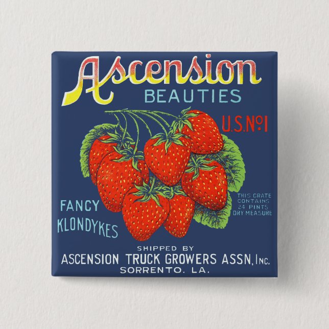 Ascension Beauties Fancy Klondykes Strawberries 2 Inch Square Button (Front)