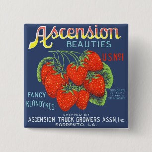 Ascension Beauties Fancy Klondykes Strawberries 2 Inch Square Button