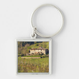 Aschuito, a working farm that accepts guests, keychain