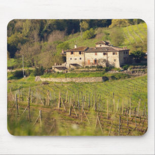Aschuito, a working farm that accepts guests, mouse pad