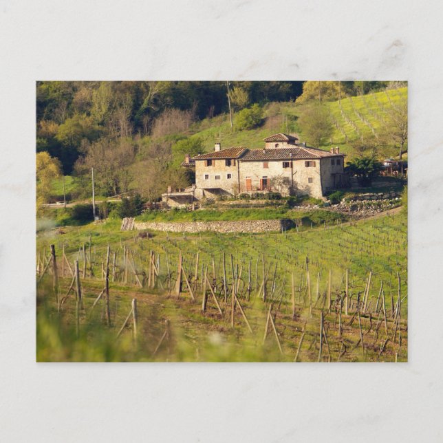 Aschuito, a working farm that accepts guests, postcard (Front)