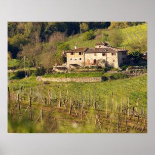 Aschuito, a working farm that accepts guests, poster