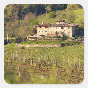 Aschuito, a working farm that accepts guests, square sticker