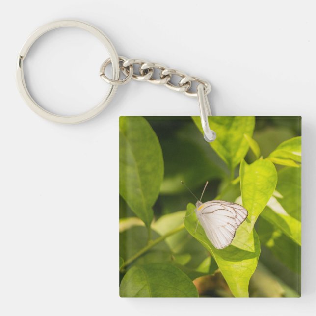Ascia_02 Keychain (Front)