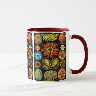 Ascidiacea (Sea Squirts), Ernst Haeckel Fine Art Mug