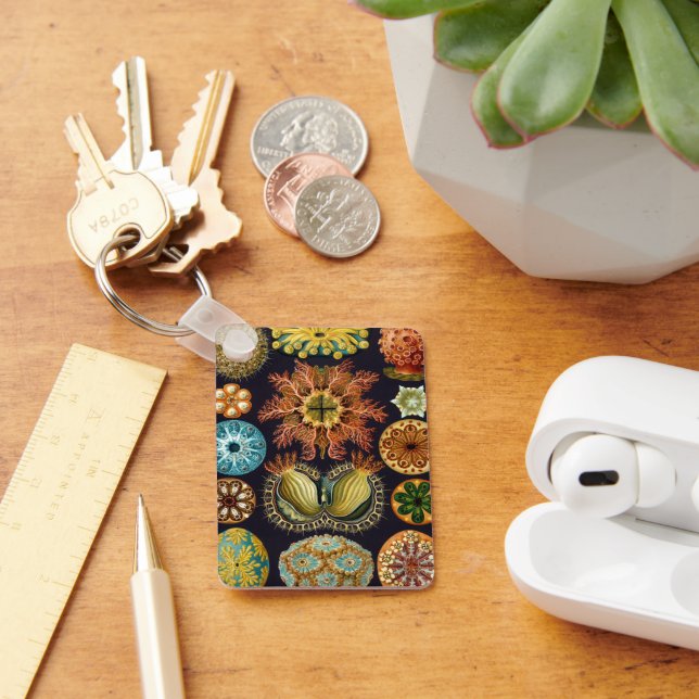 Ascidiae by Ernst Haeckel, Vintage Marine Animals Keychain (Desk)