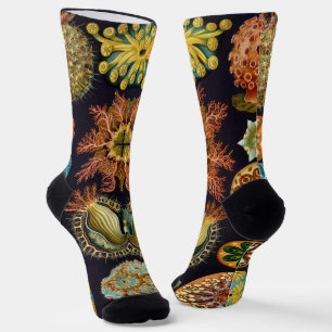 Ascidiae by Ernst Haeckel, Vintage Marine Animals Socks