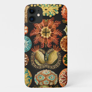 Ascidiae, Seescheiden Marine Life by Ernst Haeckel iPhone 11 Case