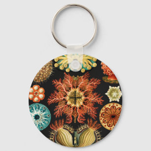 Ascidiae, Seescheiden Marine Life by Ernst Haeckel Keychain