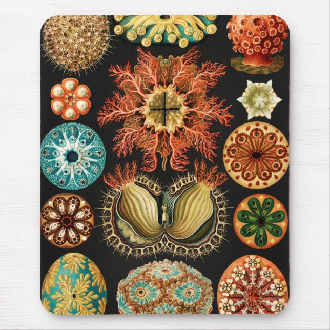 Ascidiae, Seescheiden Marine Life by Ernst Haeckel Mouse Pad (Front)