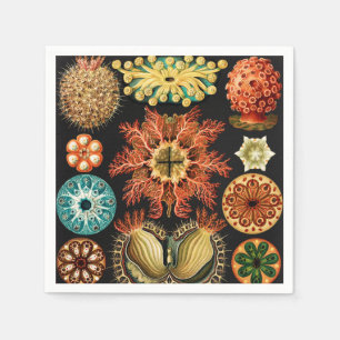 Ascidiae, Seescheiden Marine Life by Ernst Haeckel Napkin