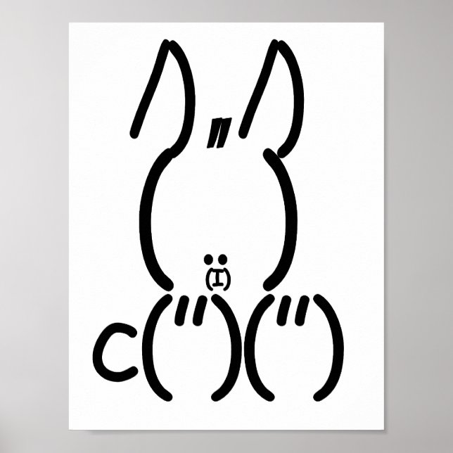 ASCII Rabbit Poster (Front)