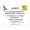 ASD Houston Autism "ALERT" Poster