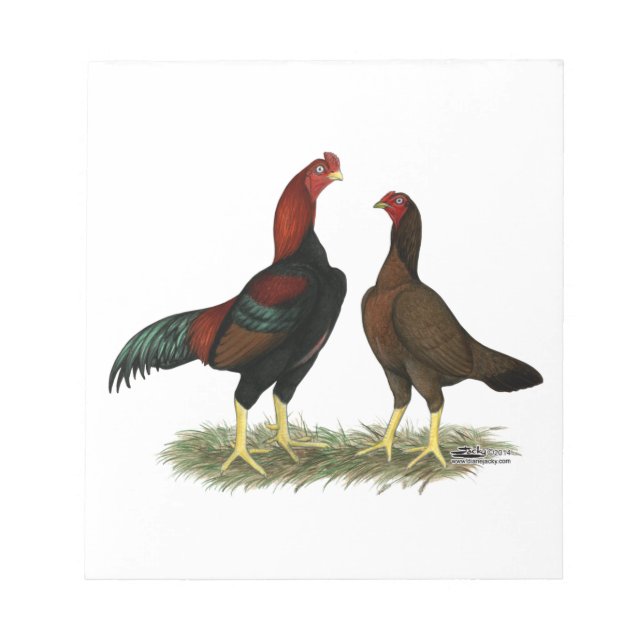 Aseel Black Red Chickens Notepad (Front)