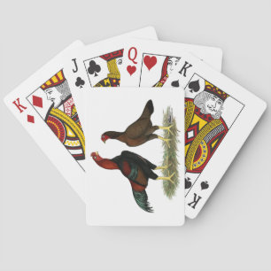 Aseel Black Red Chickens Playing Cards
