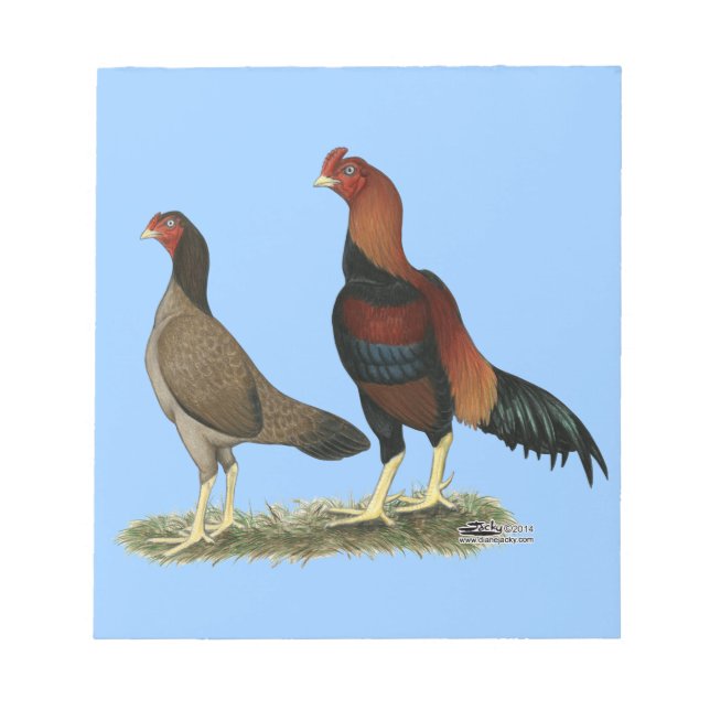 Aseel Wheaten Chickens Notepad (Front)