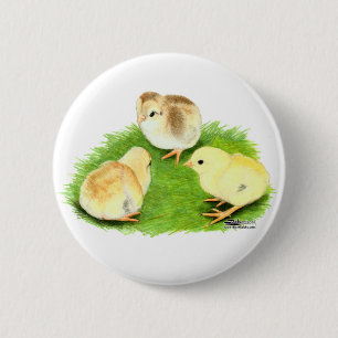 Aseel Wheaten Chicks 2 Inch Round Button