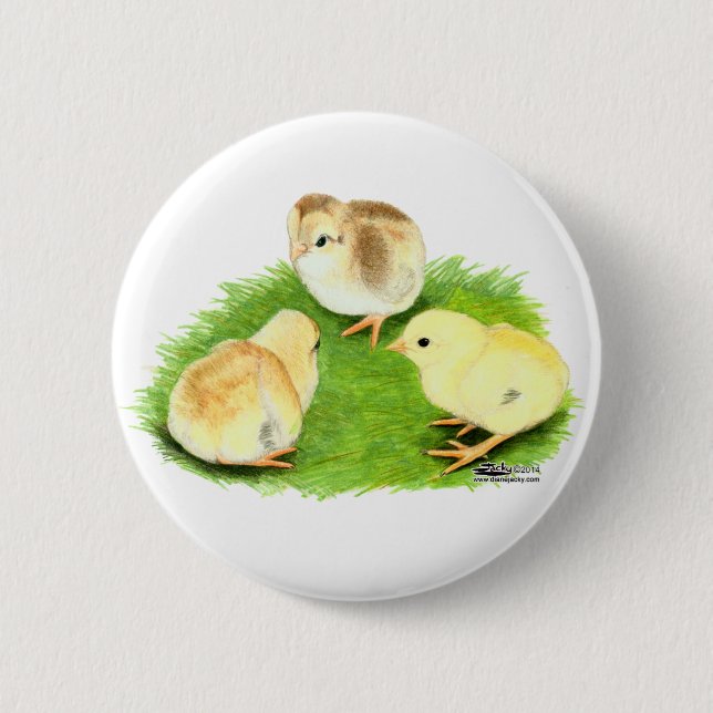 Aseel Wheaten Chicks 2 Inch Round Button (Front)