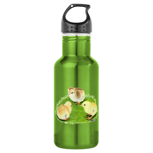 Aseel Wheaten Chicks 532 Ml Water Bottle (Front)